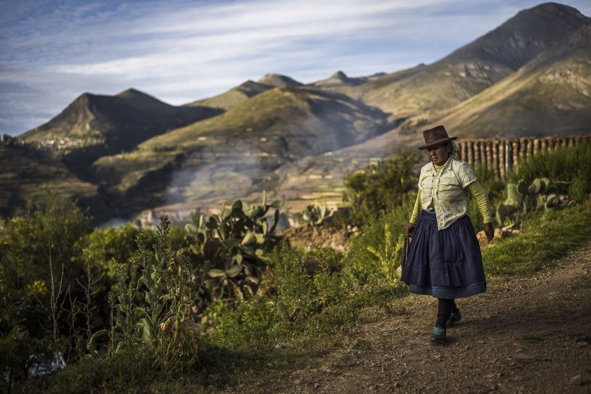 Livelihoods Funds